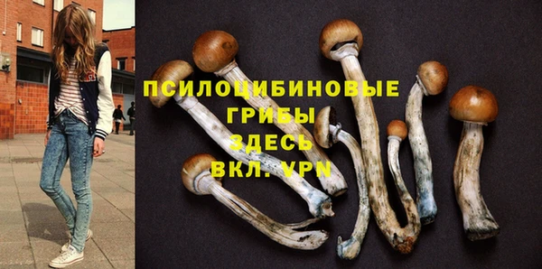 мяу мяу мука Белоозёрский