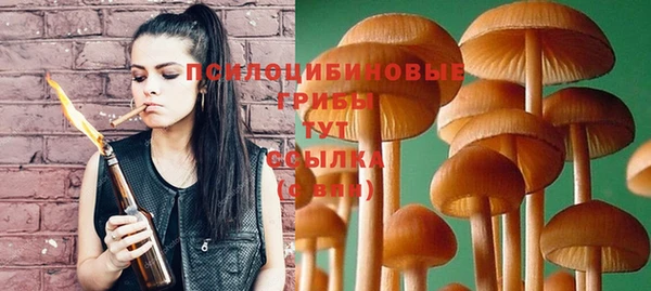 прущие крисы Баксан