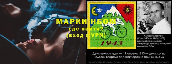 Альфа ПВП Белокуриха
