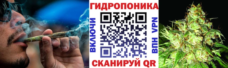 продажа наркотиков ссылка на мегу зеркало Конопля THC 21% Касимов